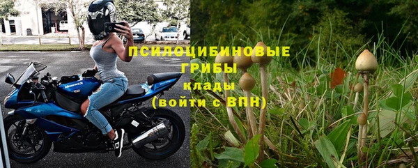 ГАЛЛЮЦИНОГЕННЫЕ ГРИБЫ Арсеньев