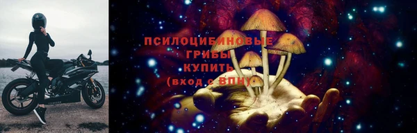 ГАЛЛЮЦИНОГЕННЫЕ ГРИБЫ Арсеньев