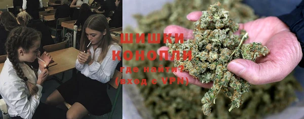 ГАЛЛЮЦИНОГЕННЫЕ ГРИБЫ Арсеньев