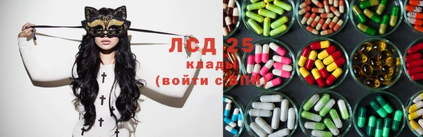 ГАЛЛЮЦИНОГЕННЫЕ ГРИБЫ Арсеньев