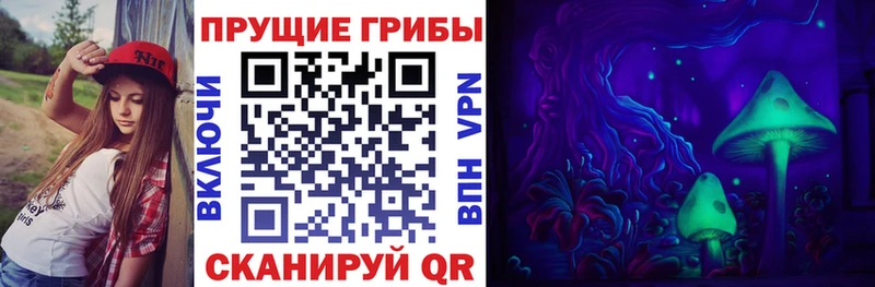 Псилоцибиновые грибы прущие грибы  Саров 